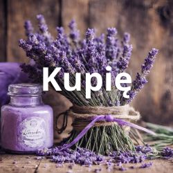Ogłoszenia kupię lawendę