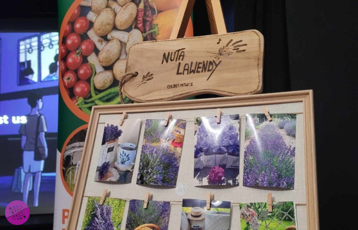 471357738_122211903086034436_803748846313857952_n