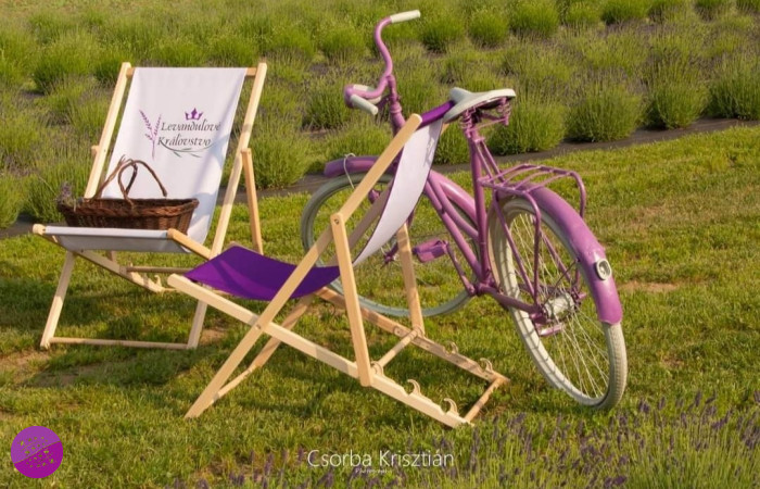 Levanduľové Kráľovstvo