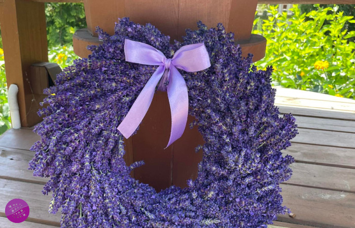 Jezioro Lawendy plantacja w Kościankach