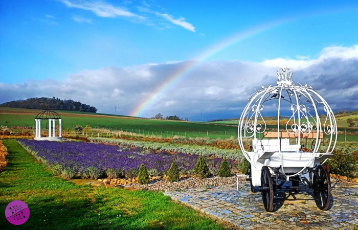 Lawendowy Ogród - Kotlina Kłodzka